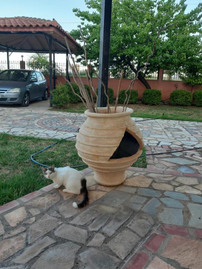 Villa Evi'S Skala  Exteriör bild